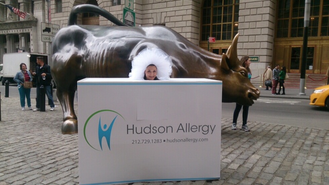 Hudson Allergy Tissue Box Wallstreet Bull